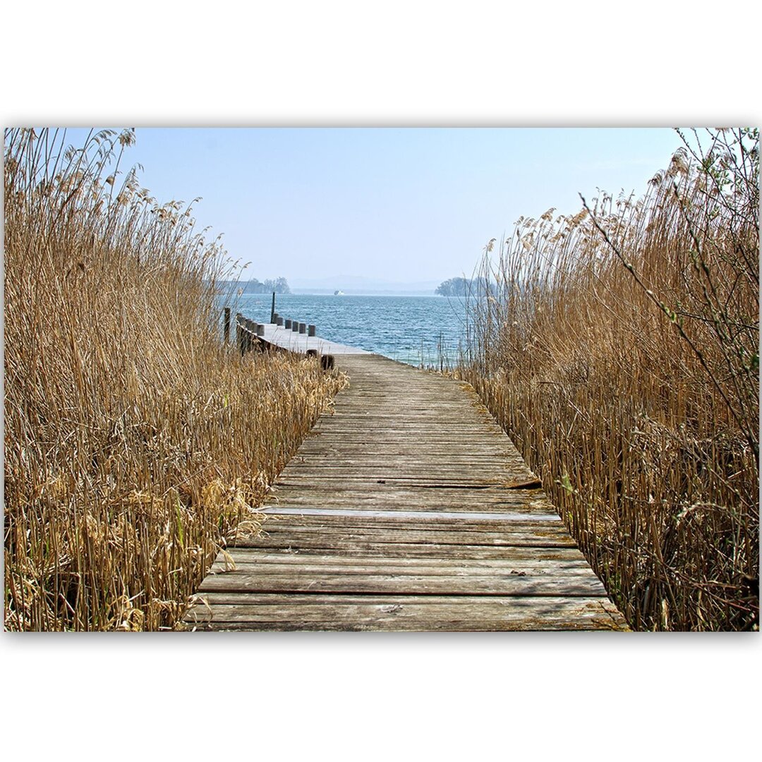 Leinwandbild Brücke im Schilf