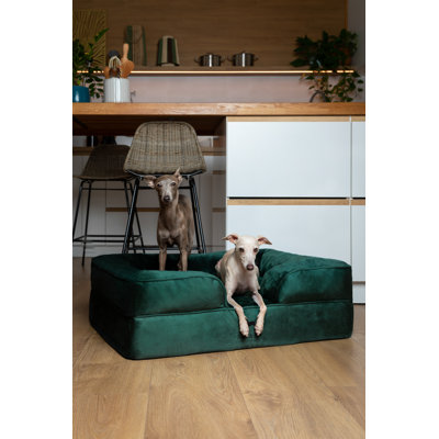 Lit pour chien géant Noah & Paw XXL, lits orthopédiques pour chien, mousse viscoélastique infusée de gel rafraîchissant, housse intérieure, imperméable, lavable à la machine (collection de canapé en velours)