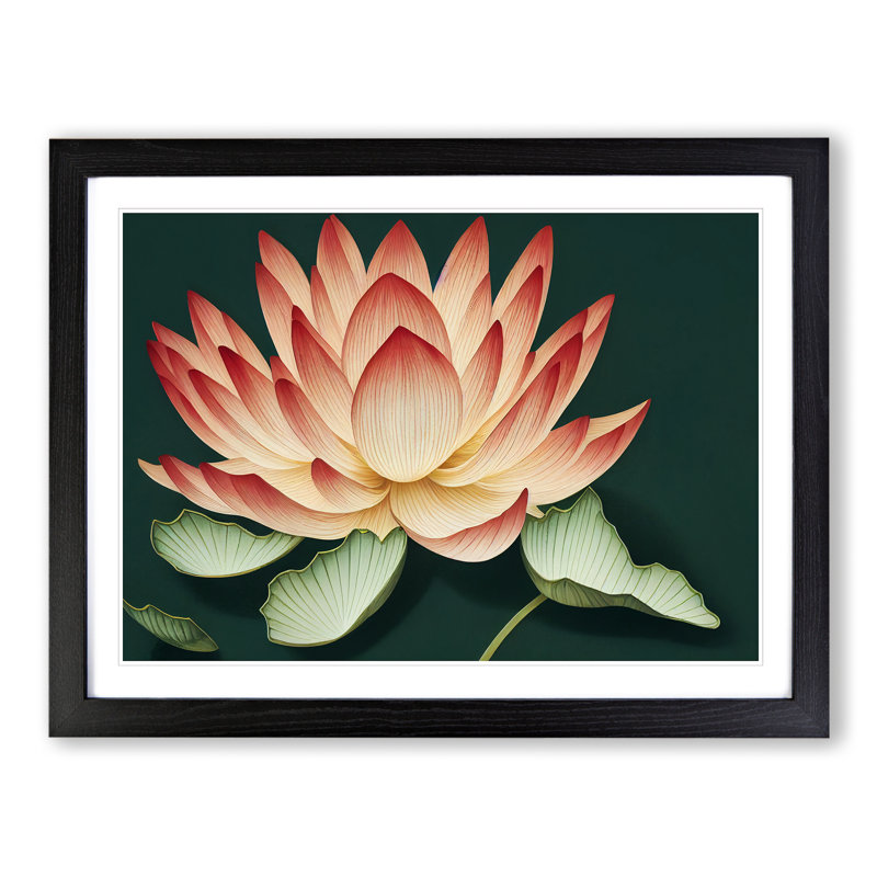 Showstopping Lotus Flower - Framed Print, Black, 25cm H x 34cm W x 2cm D