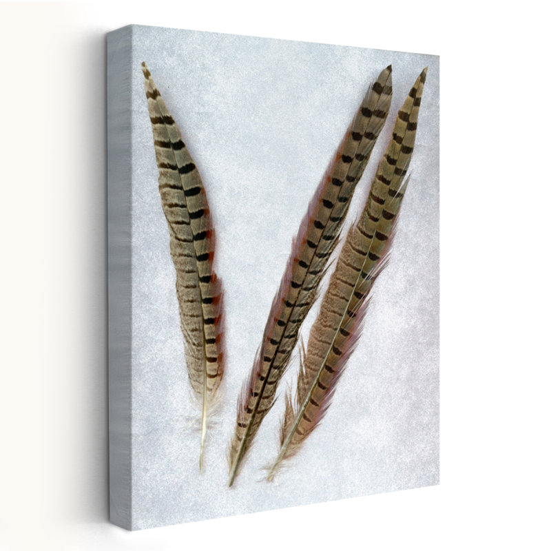 Plumes # 3 - Art photographique, H 48 po x l 32 po