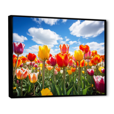 Yellow And Orange Tulip Field Beauty - Tulip Wall Art