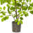36'' Faux Ficus Tree in Planter