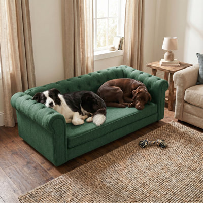 Élégant canapé-lit en lin capitonné pour chiens de grande taille et surdimensionné, canapé pour animaux surélevé avec accoudoirs et dossier roulés