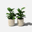 Pot à fleurs rond Demi Series-83894853-83894855-97676810