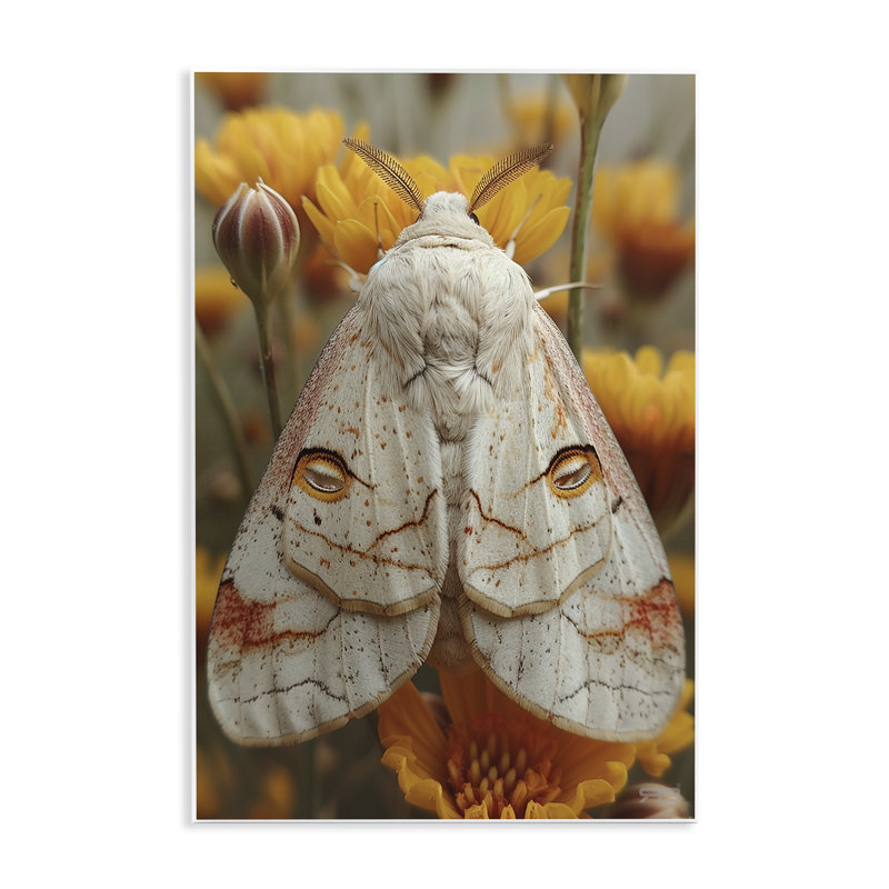 Art mural délicat «Luna Moth» par Roozbeh Bahramali, H 19 po x l 13 po