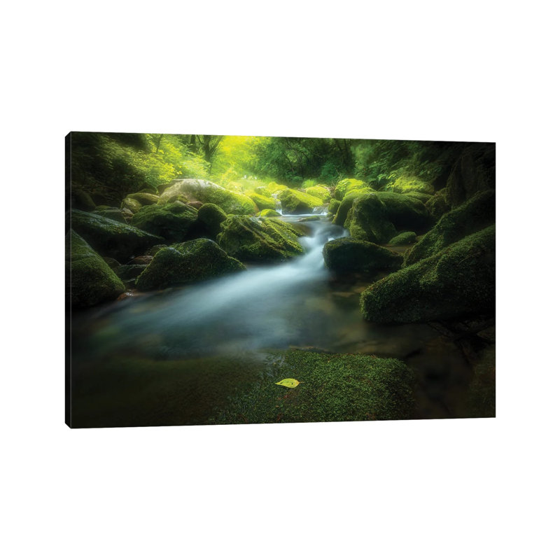 Green Stone by Bingo Z - Wrapped Canvas Print, 45.72 H x 66.04 W x 1.91 D