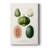 Fruit & Vegetable Varieties VIII -Gallery Wrapped Cavas-124782971