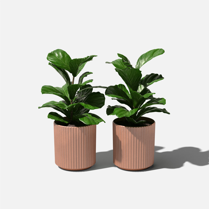 Pot à fleurs rond Demi Series, 2, H 11,5 po x l 10,5 po x P 10,5 po, Terracotta