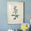 Traditional Botanical II - reproduction de cadre photo-714440251-714440248