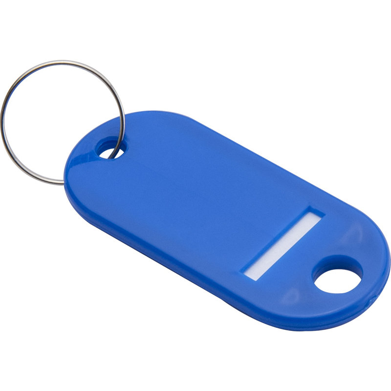 Assorted Color Plastic Key Tags with Write-On Labels - 100 Pack