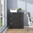 Karanfila 35.43'' Wide 3 -Drawer Steel File Cabinet-1090046166