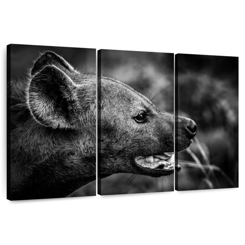 Hyena In Monochrome, 36" H x 57" W