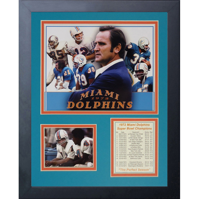 Single Picture Frame Memorabilia