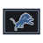 Detroit Lions