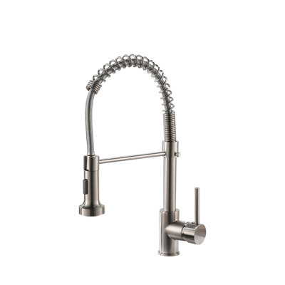Topcraft Single-Handle Single-Hole Spring Kitchen Faucet