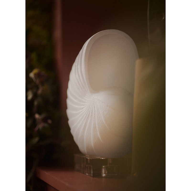 Nautilus Shell Small (White), 10.75" H x 8" W x 5.25" D