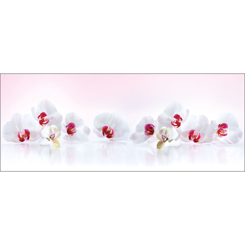No Frame Print on Glass, 50 cm H x 125 cm W x 1.4cm D