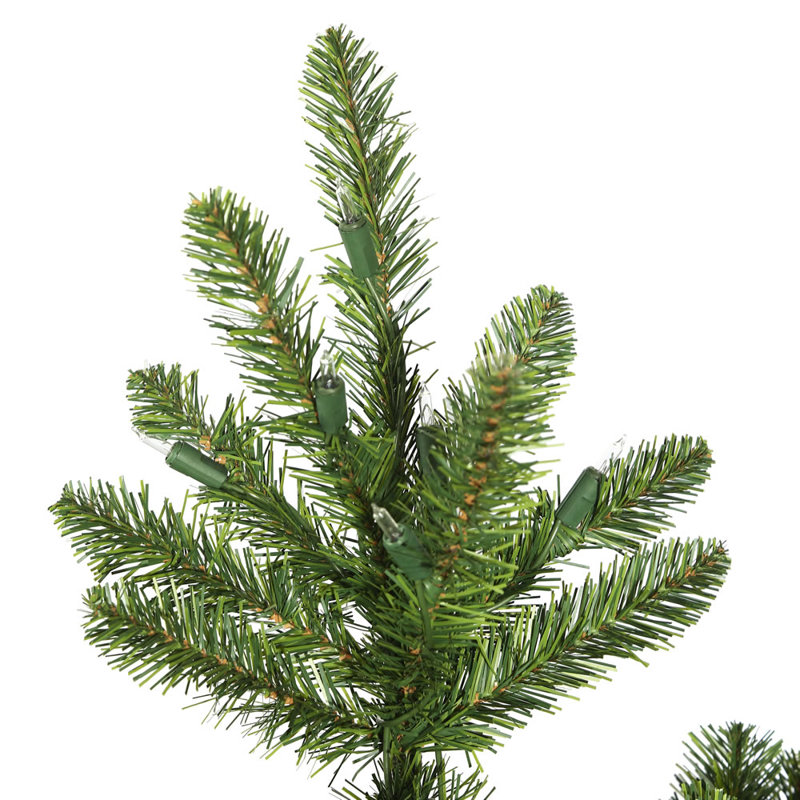 Arbre de Noël pin Nampa, H 12 pi