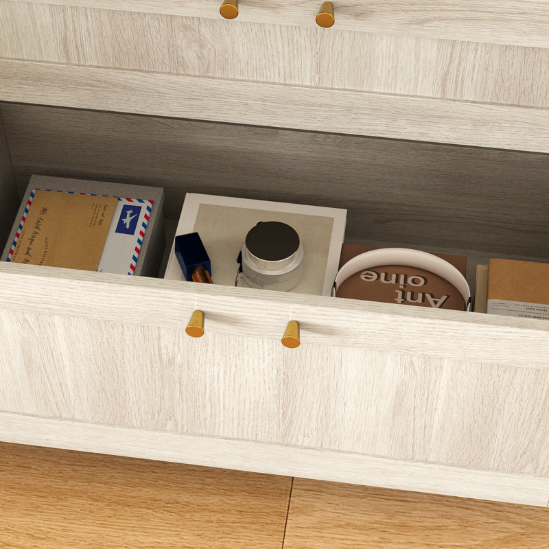 Armoire de rangement avec porte en verre givré et 2 tiroirs