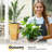Korvin Pot Planter-99786996