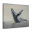 Impression d'art baleine majestueuse avec baleine bleue-1025556777