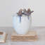 Ceramic Planter