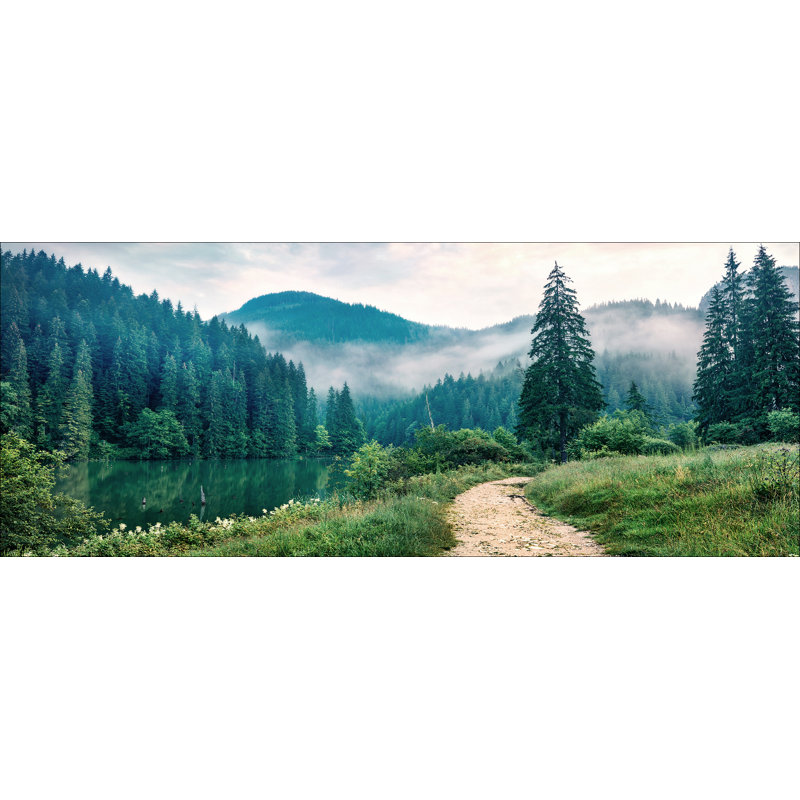 Forest Trail - No Frame Panoramic Art Prints on Float Glass, 50cm H x 125cm W x 1.4cm D