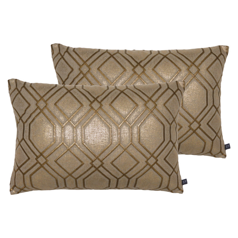 Geometric Rectangular Cushion, Coin, Feather