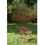 Sixties Outdoor Rocker Chair-72915321