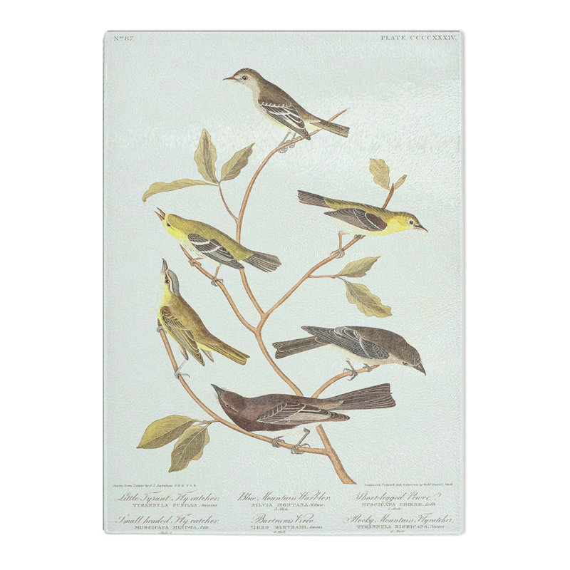 Tempered Glass Collection of Birds Chopping Board, 28.5 cm W x 39 cm L