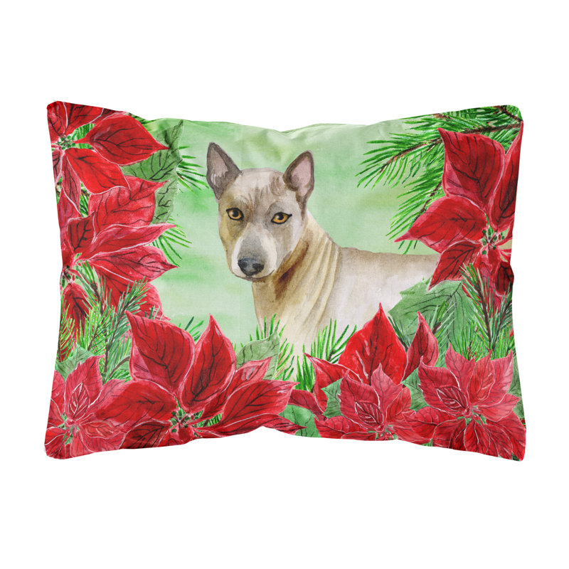  Coussin décoratif intérieur / extérieur thaïlandais Ridgeback Poinsettias