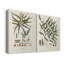 Botanical Society Ferns VIII - Toile tendue avec châssis de qualité supérieure - Prêt à être accroché-108969150