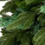 Sapin de Noël artificiel Calloway Real Touch, 6,5 pi, non éclairé