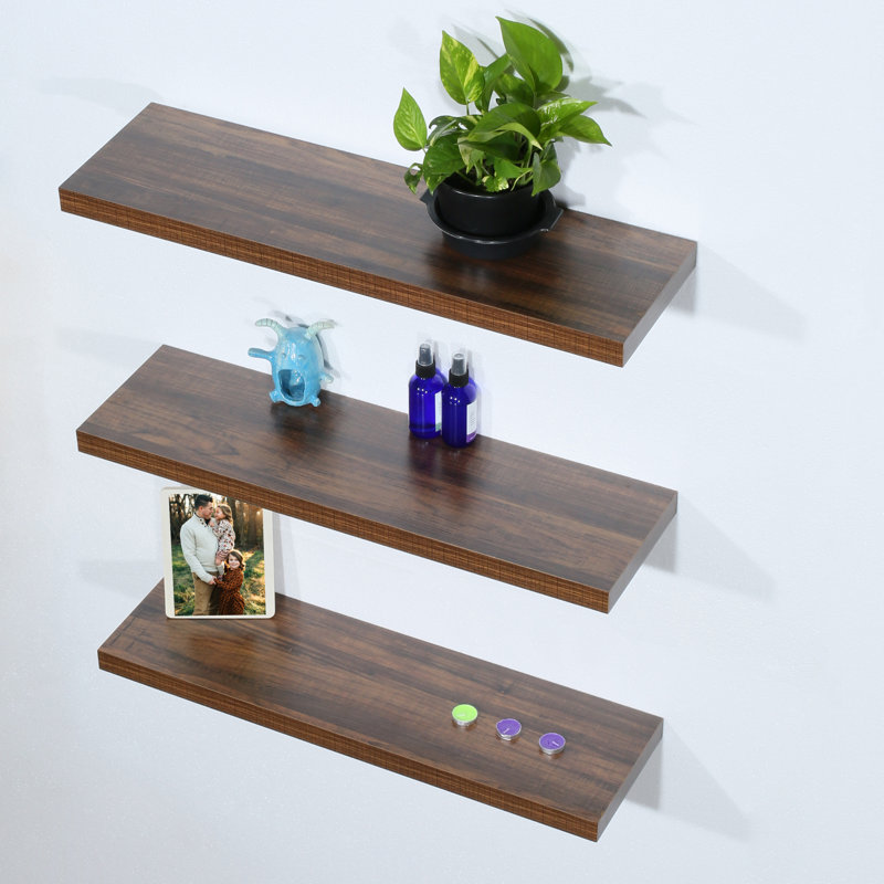 Antolin 3 Piece Floating Shelf