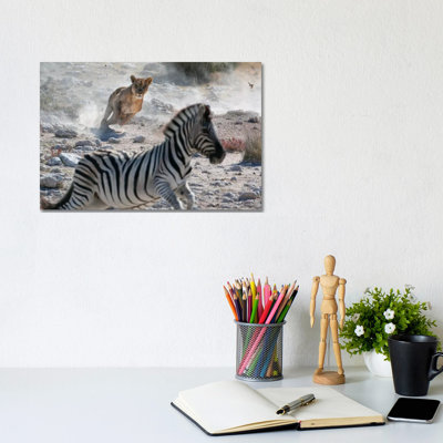 Lion Hunting Zebra by Mogens Trolle - Wrapped Canvas Print