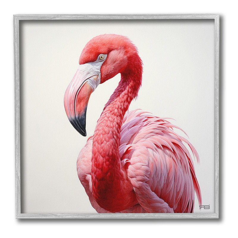 «Traditional Flamingo Portrait», estampe numérique par RB, Giclée encadrée noir minuit, H 12 po x l 12 po