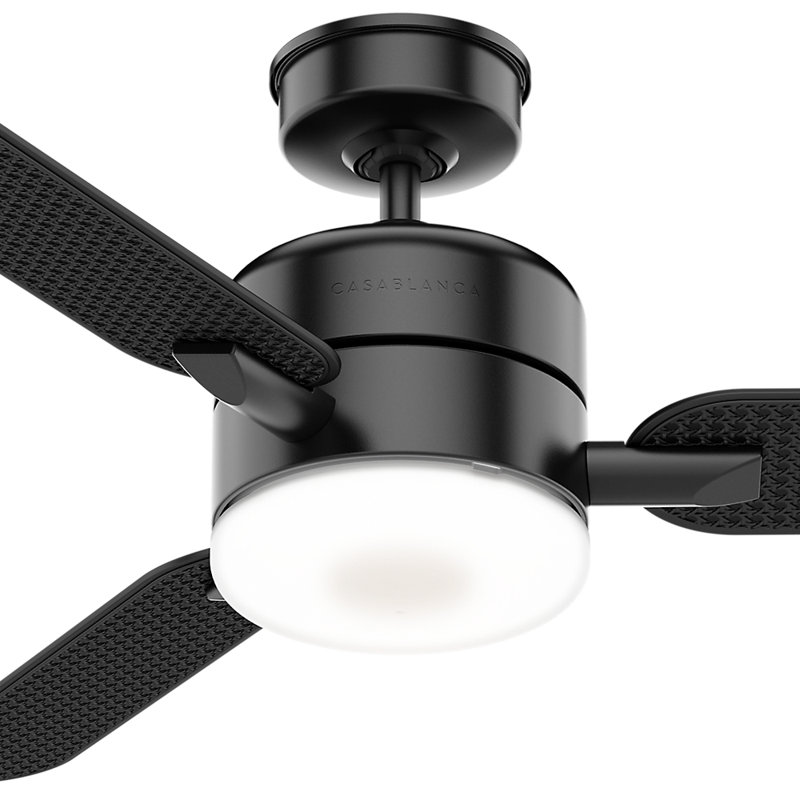 54" Paume 3 - Blade Outdoor LED Standard Ceiling Fan with Wall Control and Light Kit Included, Matte Black