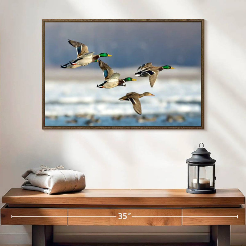 Flock Of Ducks, 25" X 17", Floating Frame Walnut