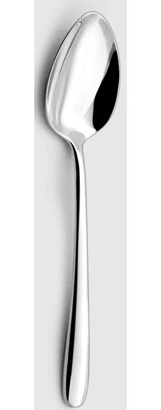 Fusain Stainless Steel Dinner Spoon