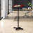 Aluminum Speaker Stand with Adjustable Height-1186886841