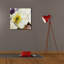 «White Poppies Up Close» par Shirley Novak, art mural sur toile-1617011156