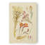 Reproduction botanique antique sur toile-1457849549-1456195389