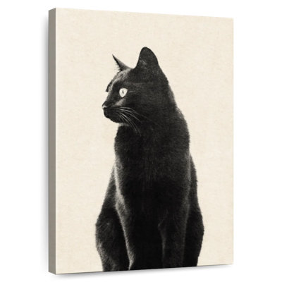 Chat noir Brampt beige