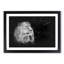 Wild Lioness - Picture Frame Graphic Art Print-56864187-56864186