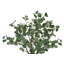 Faux plante d'eucalyptus 46 po en polyéthylène (PE)