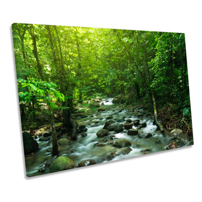 X0205 Tropical Mountain Stream Landscape - Wrapped Canvas Art Prints
