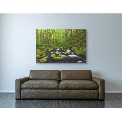 'Where the Green Grows' by Darren White, Canvas Wall Art