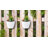 Bernan Self-Watering Hanging Planter