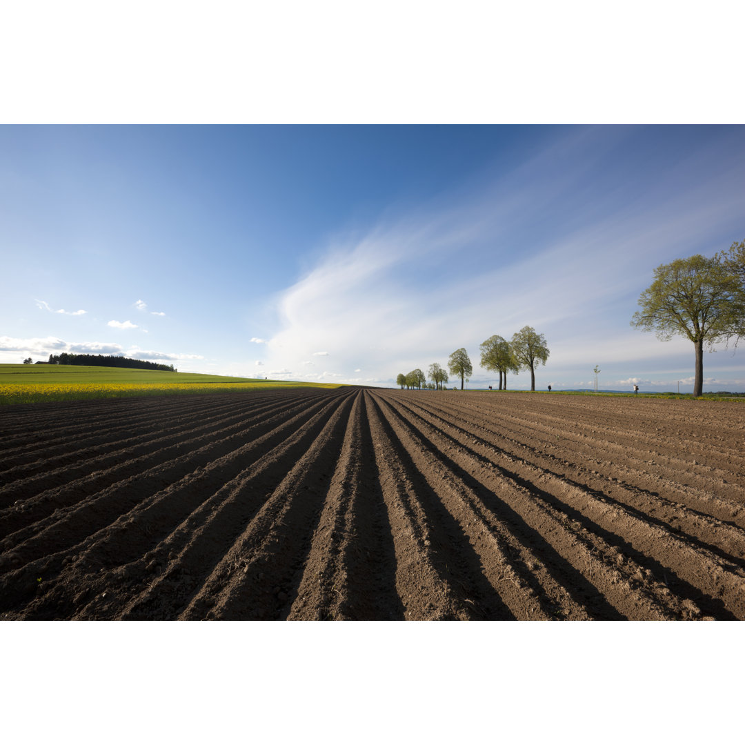 Spring Of Coutryside von Best-photo - Ohne Rahmen auf Leinwand