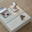 Table basse simple de style rétro extensible
